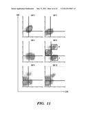 GENERATION OF VASCULARIZED HUMAN HEART TISSUE AND USES THEREOF diagram and image