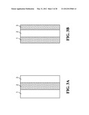 COMPOSITIONS AND METHODS FOR CELL KILLING diagram and image