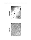 COMPOSITIONS AND METHODS FOR CELL KILLING diagram and image