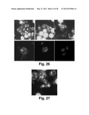 COMPOSITIONS AND METHODS FOR CELL KILLING diagram and image