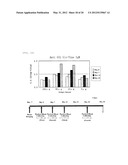 VACCINE FOR MYCOPLASMA INFECTION diagram and image