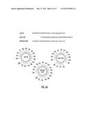 INHIBITORS OF RecA ACTIVITIES FOR CONTROL OF ANTIBIOTIC-RESISTANT     BACTERIAL PATHOGENS diagram and image