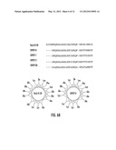 INHIBITORS OF RecA ACTIVITIES FOR CONTROL OF ANTIBIOTIC-RESISTANT     BACTERIAL PATHOGENS diagram and image