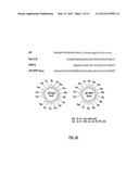 INHIBITORS OF RecA ACTIVITIES FOR CONTROL OF ANTIBIOTIC-RESISTANT     BACTERIAL PATHOGENS diagram and image