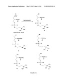 1-HYDROXY-2-O-ACYL-SN-GLYCERO-3-PHOSPHOCHOLINE COMPOUNDS, PREPARATION     PROCESS, ANTIFOULING COMPOSITION, PROCESS FOR ITS PREPARATION, METHOD TO     PREVENT FOULING, METHOD TO TURN A SURFACE INTO AN ANTIFOULING SURFACE,     AND, COVERED SURFACE diagram and image