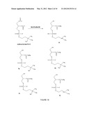 1-HYDROXY-2-O-ACYL-SN-GLYCERO-3-PHOSPHOCHOLINE COMPOUNDS, PREPARATION     PROCESS, ANTIFOULING COMPOSITION, PROCESS FOR ITS PREPARATION, METHOD TO     PREVENT FOULING, METHOD TO TURN A SURFACE INTO AN ANTIFOULING SURFACE,     AND, COVERED SURFACE diagram and image