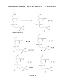1-HYDROXY-2-O-ACYL-SN-GLYCERO-3-PHOSPHOCHOLINE COMPOUNDS, PREPARATION     PROCESS, ANTIFOULING COMPOSITION, PROCESS FOR ITS PREPARATION, METHOD TO     PREVENT FOULING, METHOD TO TURN A SURFACE INTO AN ANTIFOULING SURFACE,     AND, COVERED SURFACE diagram and image