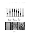 1-HYDROXY-2-O-ACYL-SN-GLYCERO-3-PHOSPHOCHOLINE COMPOUNDS, PREPARATION     PROCESS, ANTIFOULING COMPOSITION, PROCESS FOR ITS PREPARATION, METHOD TO     PREVENT FOULING, METHOD TO TURN A SURFACE INTO AN ANTIFOULING SURFACE,     AND, COVERED SURFACE diagram and image