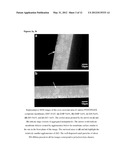ORGANIC/INORGANIC COMPOSITE BLEND MEMBRANE COMPOSITIONS OF POLYELECTROLYE     BLENDS WITH NANOPARTICLES diagram and image