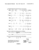 HUMAN IMMUNODEFICIENCY VIRUS TYPE 1 (HIV-1) DETECTION METHOD AND KIT     THEREFOR diagram and image