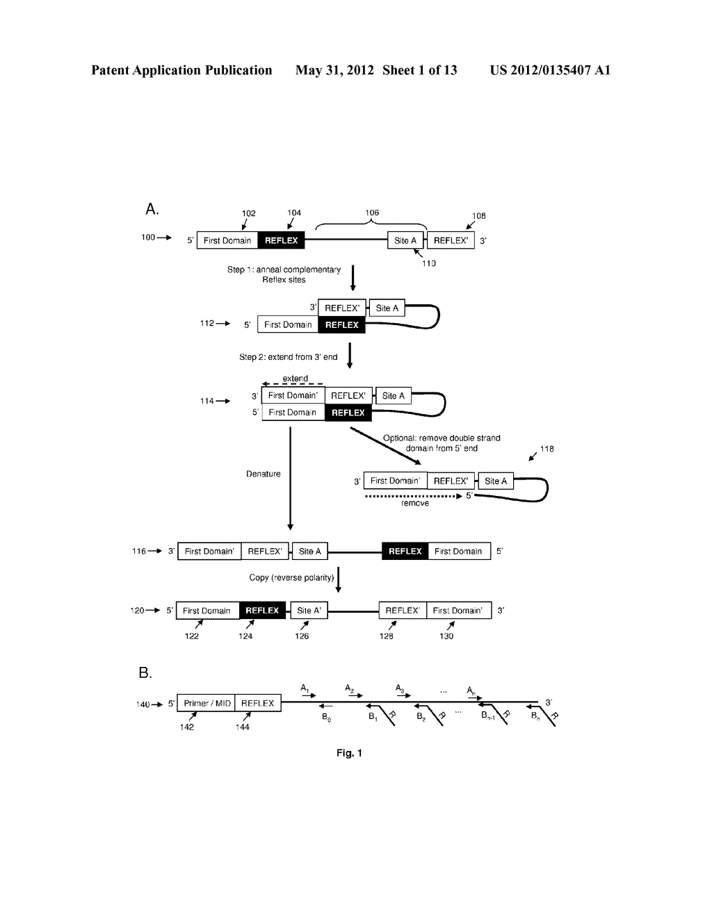 Compositions and Methods for Intramolecular Nucleic Acid Rearrangement - diagram, schematic, and image 02