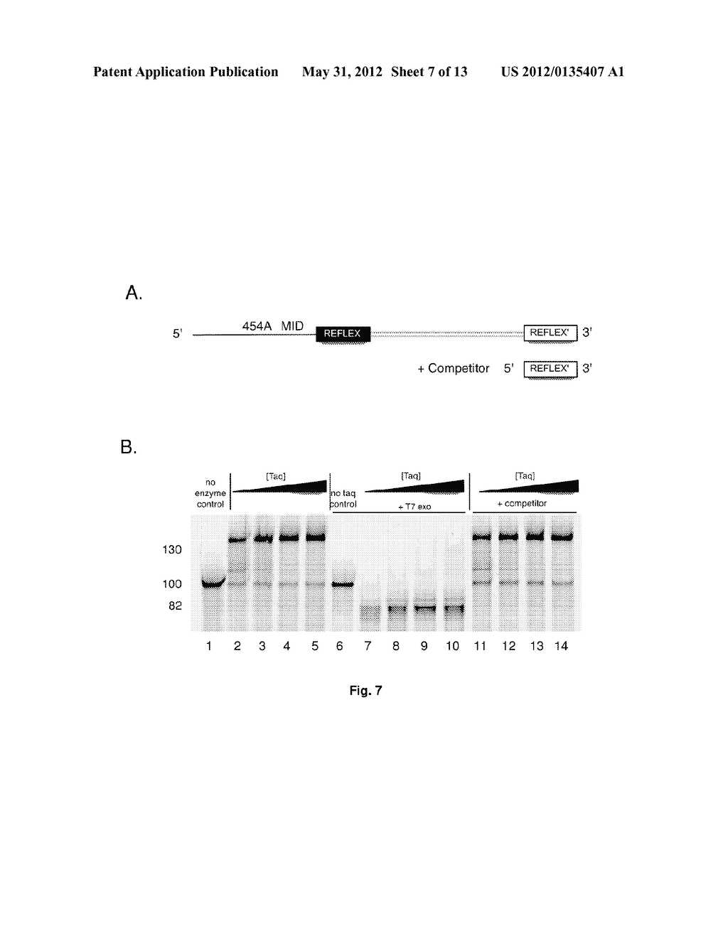 Compositions and Methods for Intramolecular Nucleic Acid Rearrangement - diagram, schematic, and image 08