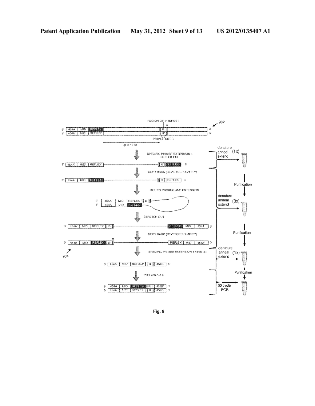 Compositions and Methods for Intramolecular Nucleic Acid Rearrangement - diagram, schematic, and image 10
