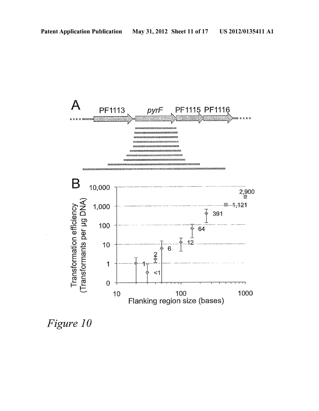 PYROCOCCUS FURIOSUS STRAINS AND METHODS OF USING SAME - diagram, schematic, and image 12