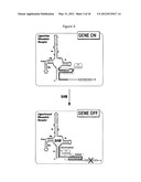 METHODS FOR SCREENING AND IDENTIFYING COMPOUNDS diagram and image