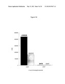 METHODS FOR SCREENING AND IDENTIFYING COMPOUNDS diagram and image