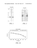 Method for quantifying phosphokinase activity on proteins diagram and image