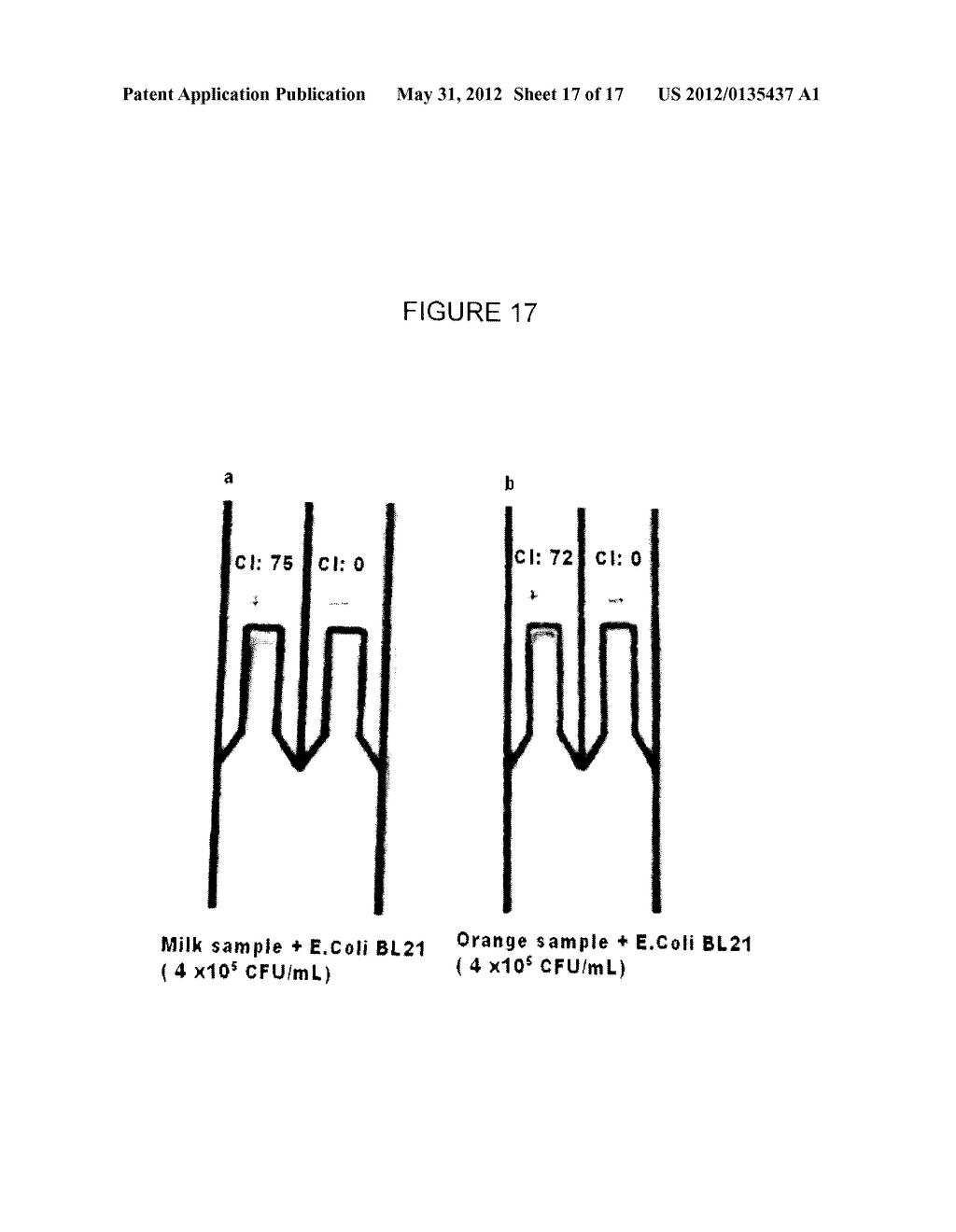 BIOSENSORS UTILIZING INK JET-PRINTED BIOMOLECULE COMPATIBLE SOL GEL INKS     AND USES THEREOF - diagram, schematic, and image 18