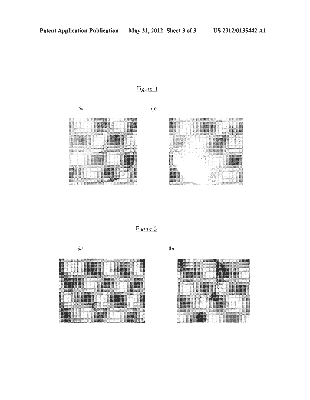 PROTEIN CRYSTALLIZATION USING MOLECULARLY IMPRINTED POLYMERS - diagram, schematic, and image 04