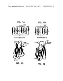 ARTIFICIAL ANTIBODY POLYPEPTIDES diagram and image