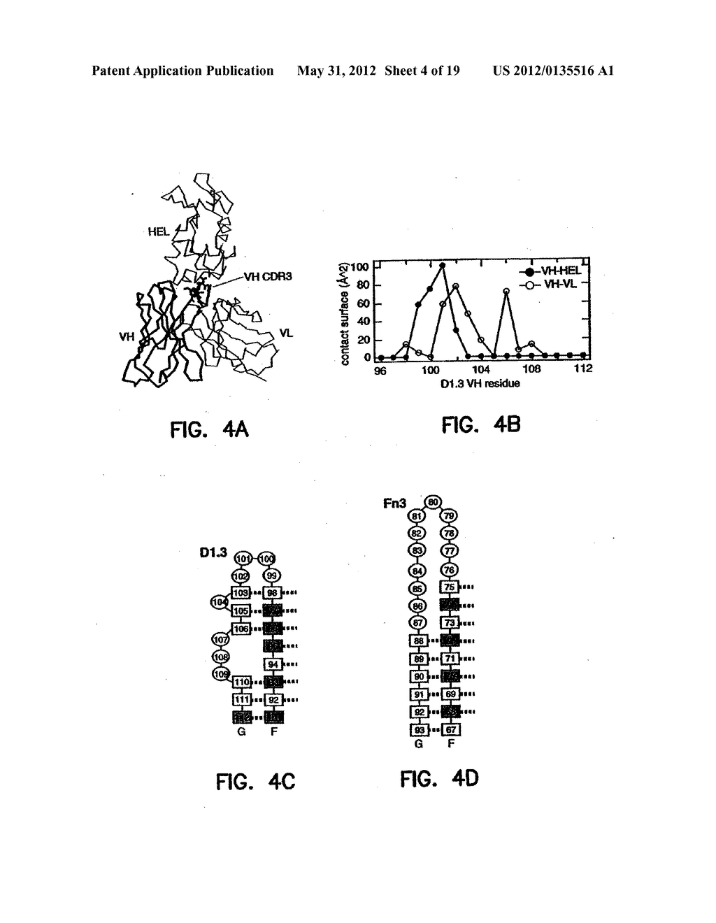 ARTIFICIAL ANTIBODY POLYPEPTIDES - diagram, schematic, and image 05