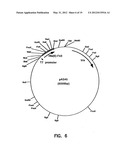 ARTIFICIAL ANTIBODY POLYPEPTIDES diagram and image