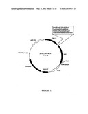 SYNTHETIC GENES AND GENETIC CONSTRUCTS diagram and image