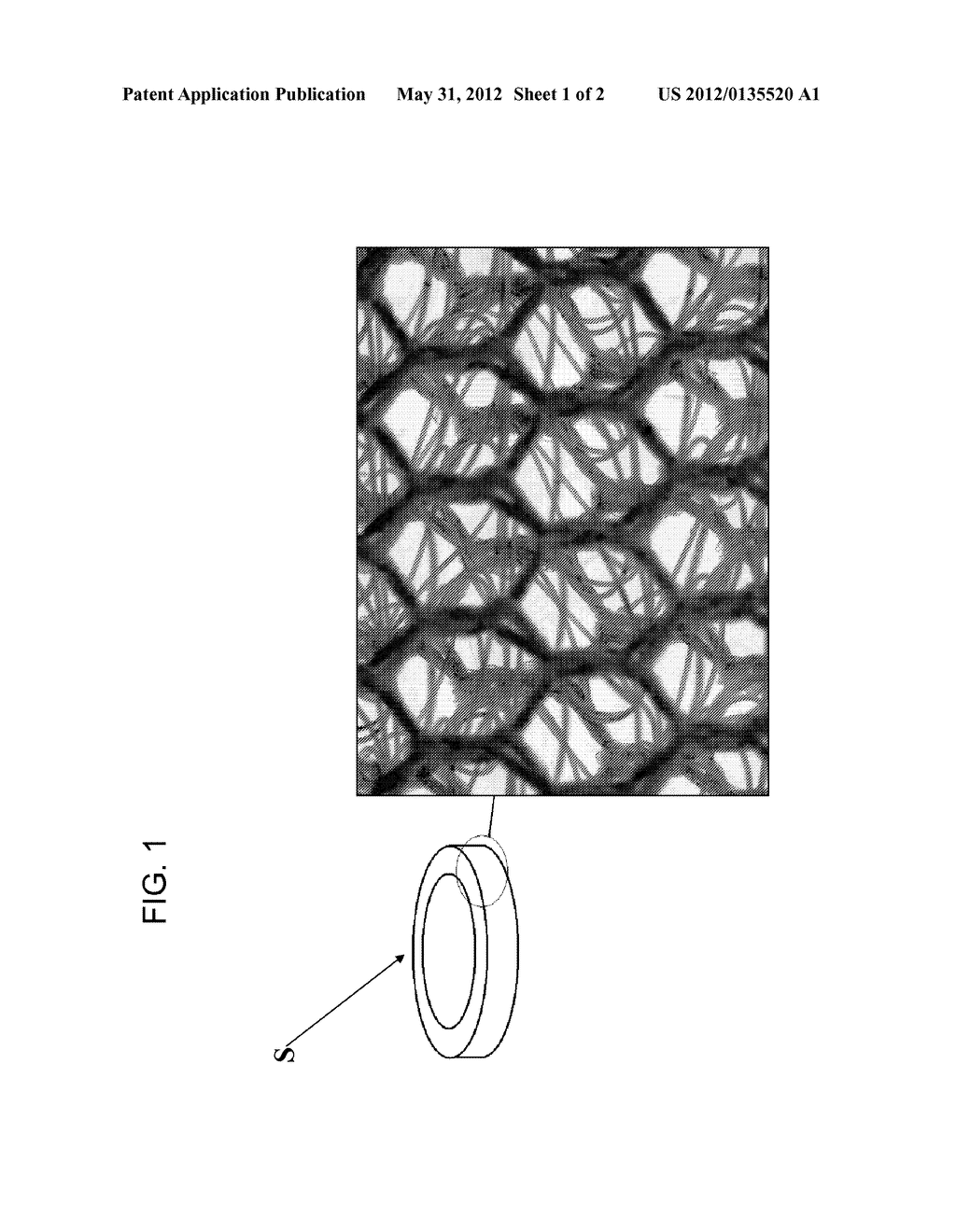 UNSHRUNKEN TISSUE EQUIVALENT, SKIN EQUIVALENT COMPRISING SUCH AN     UNSHRUNKEN TISSUE EQUIVALENT, AND METHODS FOR PRODUCING SUCH AN     UNSHRUNKEN TISSUE EQUIVALENT AND SUCH A SKIN EQUIVALENT - diagram, schematic, and image 02