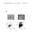 REPROGRAMMING T CELLS AND HEMATOPOIETIC CELLS diagram and image