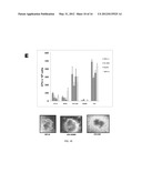 REPROGRAMMING T CELLS AND HEMATOPOIETIC CELLS diagram and image