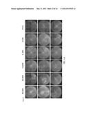 REPROGRAMMING T CELLS AND HEMATOPOIETIC CELLS diagram and image