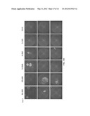 REPROGRAMMING T CELLS AND HEMATOPOIETIC CELLS diagram and image