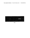 SINGLE MOLECULE SPECTROSCOPY FOR ANALYSIS OF CELL-FREE NUCLEIC ACID     BIOMARKERS diagram and image