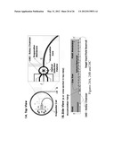 SINGLE MOLECULE SPECTROSCOPY FOR ANALYSIS OF CELL-FREE NUCLEIC ACID     BIOMARKERS diagram and image