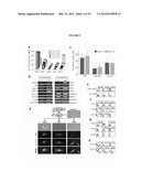 Generation of Neural Stem Cells from Human Trophoblast Stem Cells diagram and image