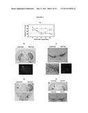 Generation of Neural Stem Cells from Human Trophoblast Stem Cells diagram and image