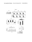 Generation of Neural Stem Cells from Human Trophoblast Stem Cells diagram and image