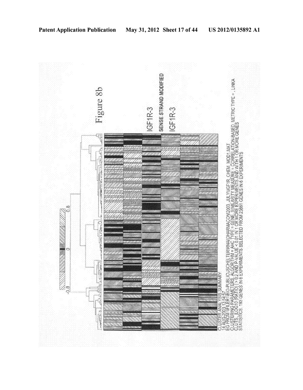 siRNA targeting spleen tyrosine kinase - diagram, schematic, and image 18