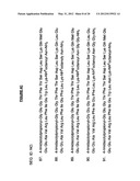 MODIFIED EXENDINS AND EXENDIN AGONISTS diagram and image