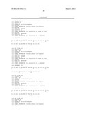 MODIFIED EXENDINS AND EXENDIN AGONISTS diagram and image