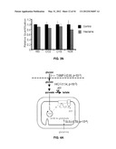 METHODS AND COMPOSITIONS FOR TREATING DEGENERATIVE AND ISCHEMIC DISORDERS diagram and image