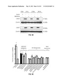 METHODS AND COMPOSITIONS FOR TREATING DEGENERATIVE AND ISCHEMIC DISORDERS diagram and image