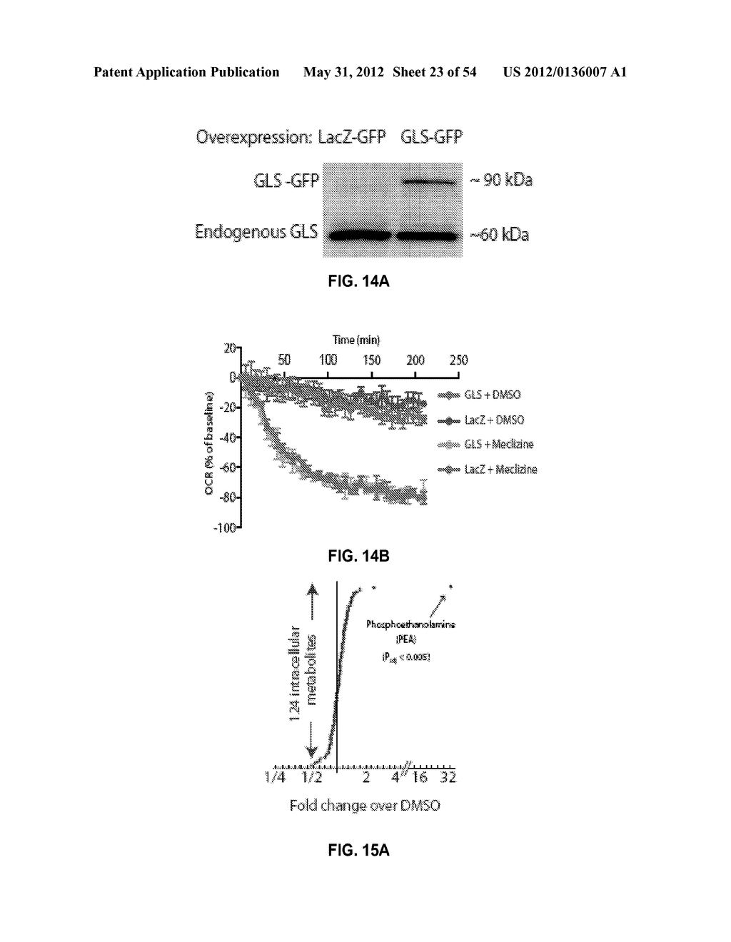 METHODS AND COMPOSITIONS FOR TREATING DEGENERATIVE AND ISCHEMIC DISORDERS - diagram, schematic, and image 24