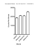 METHODS AND COMPOSITIONS FOR TREATING DEGENERATIVE AND ISCHEMIC DISORDERS diagram and image