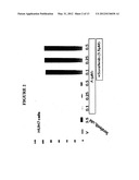 COMBINATIONS OF MEK INHIBITORS AND RAF KINASE INHIBITORS AND USES THEREOF diagram and image