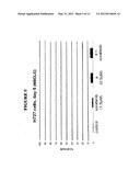 COMBINATIONS OF MEK INHIBITORS AND RAF KINASE INHIBITORS AND USES THEREOF diagram and image