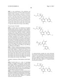 COMBINATIONS OF MEK INHIBITORS AND RAF KINASE INHIBITORS AND USES THEREOF diagram and image