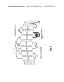 Method and composition for crystallizing G protein-coupled receptors diagram and image