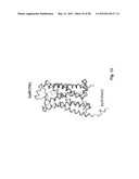 Method and composition for crystallizing G protein-coupled receptors diagram and image