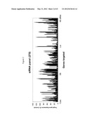 SIRNA TARGETING CATENIN, BETA-1 (CTNNB1) diagram and image